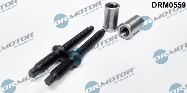 DR.MOTOR AUTOMOTIVE Болт, крепление форсунки DRM0559